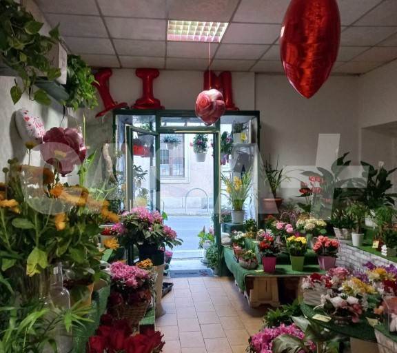 Shop for Sale in Induno Olona